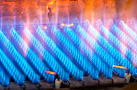 Slapton gas fired boilers